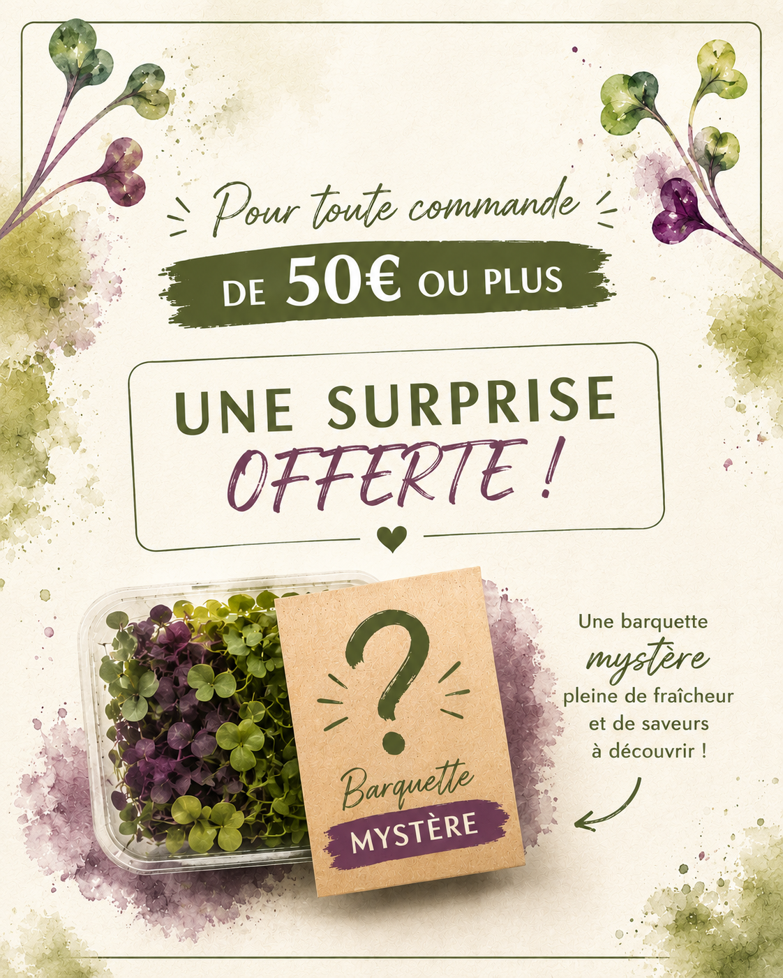Barquette mystère offerte pour toute commande de 50 € ou plus — image 1