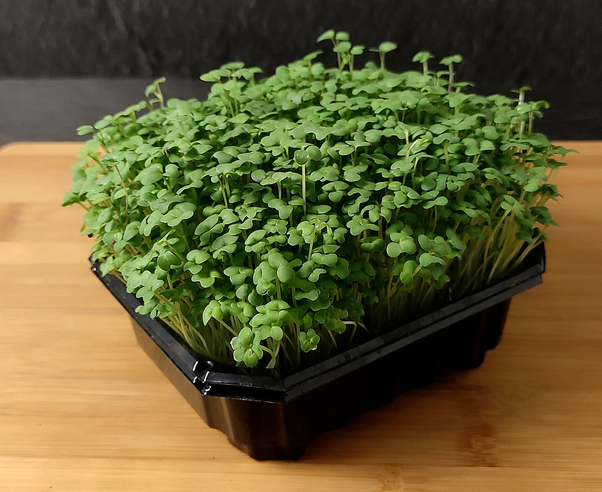 Moutarde Wasabi